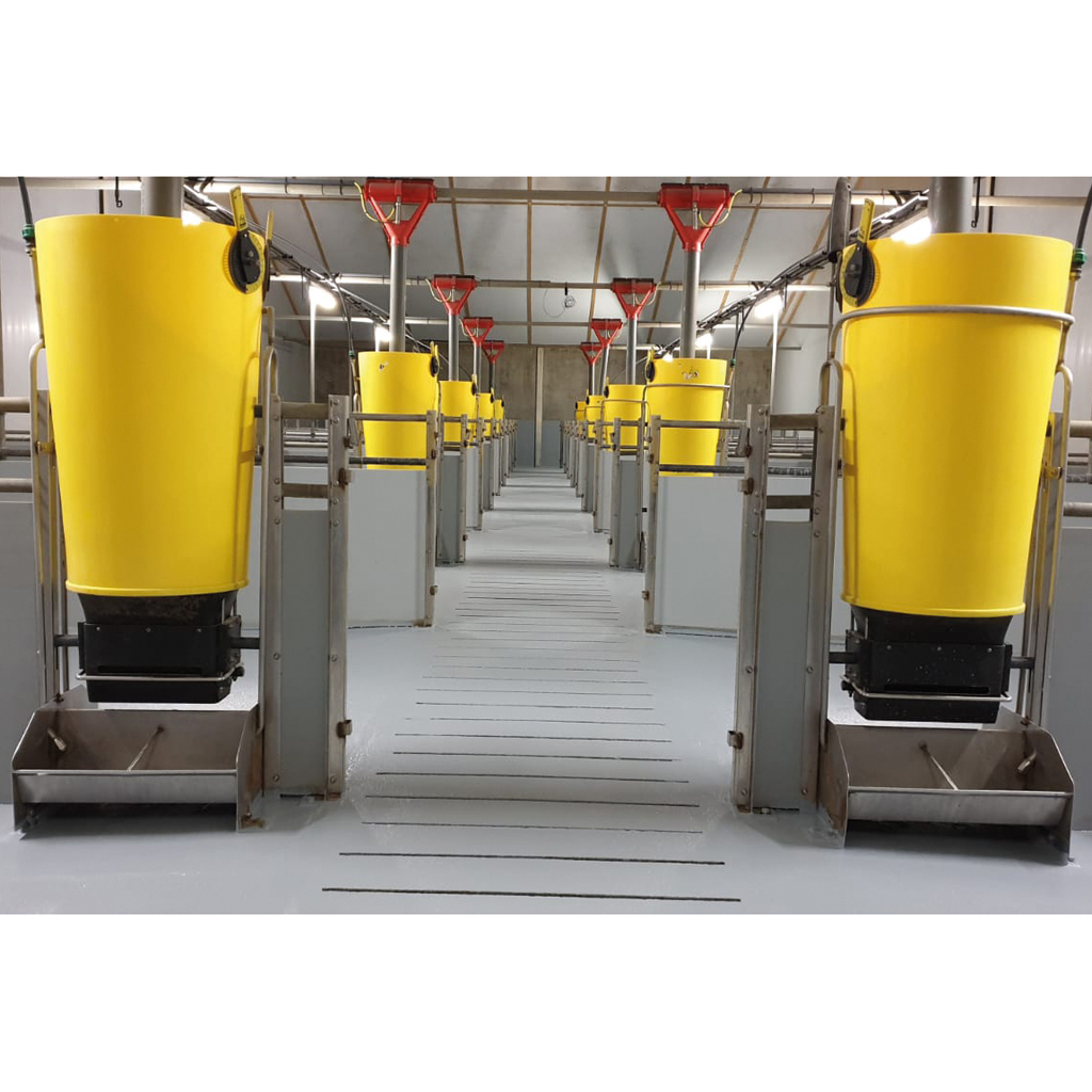 Coating in Fattening pigs / rearing stable | Professional Pig Farming