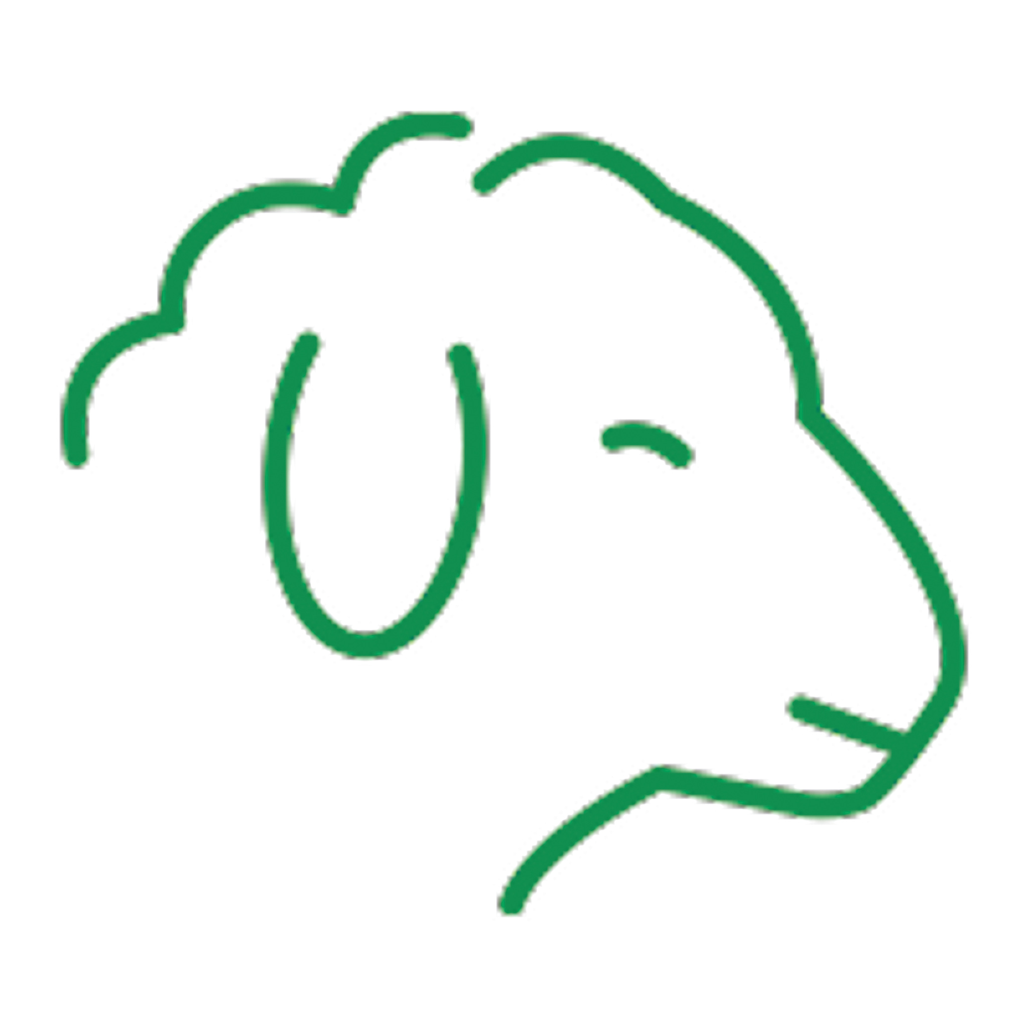 Extensive range of products for sheep