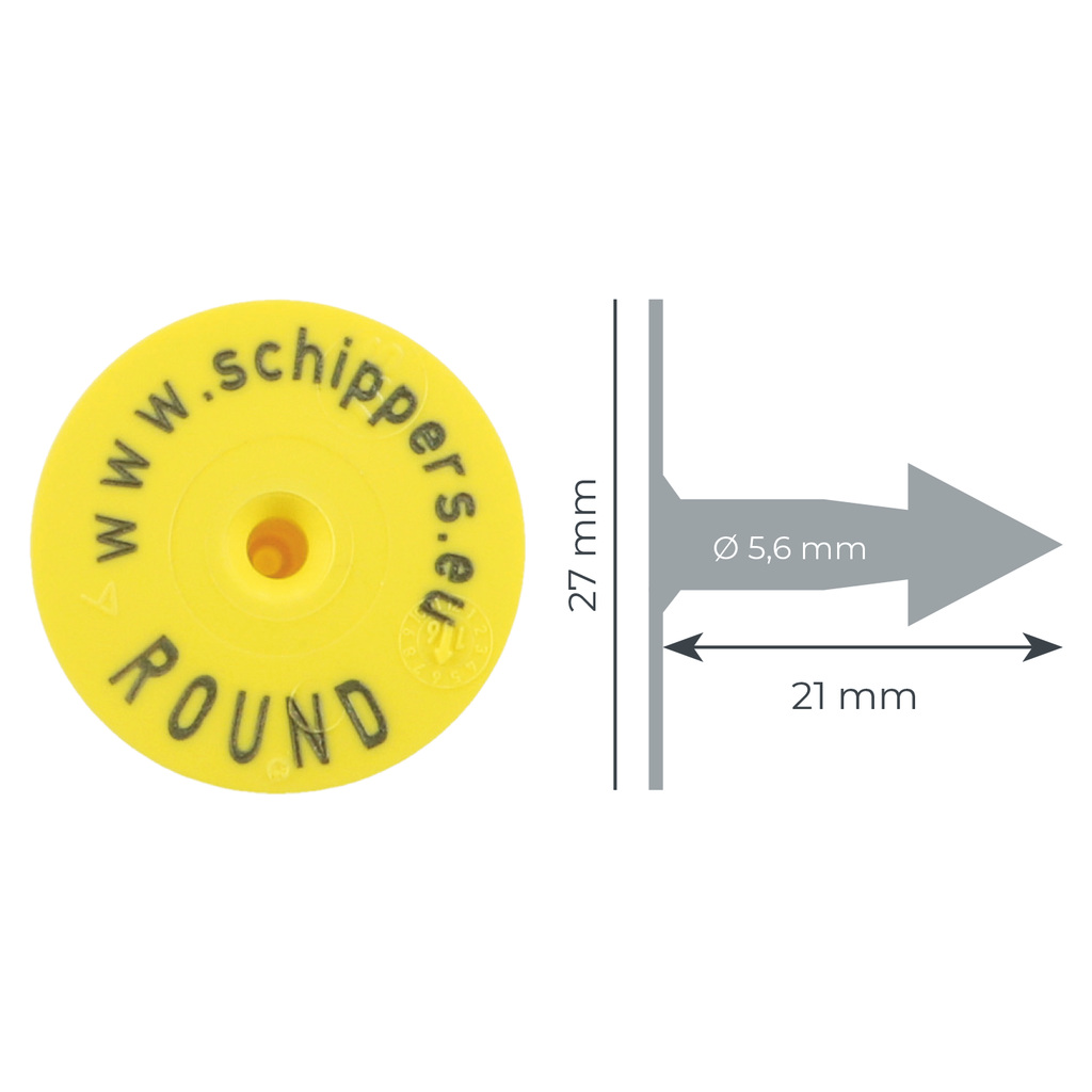 MERGE documents グリーン MS Tag Midi FDX set groen 2+1+1, p/50 - Oormerken