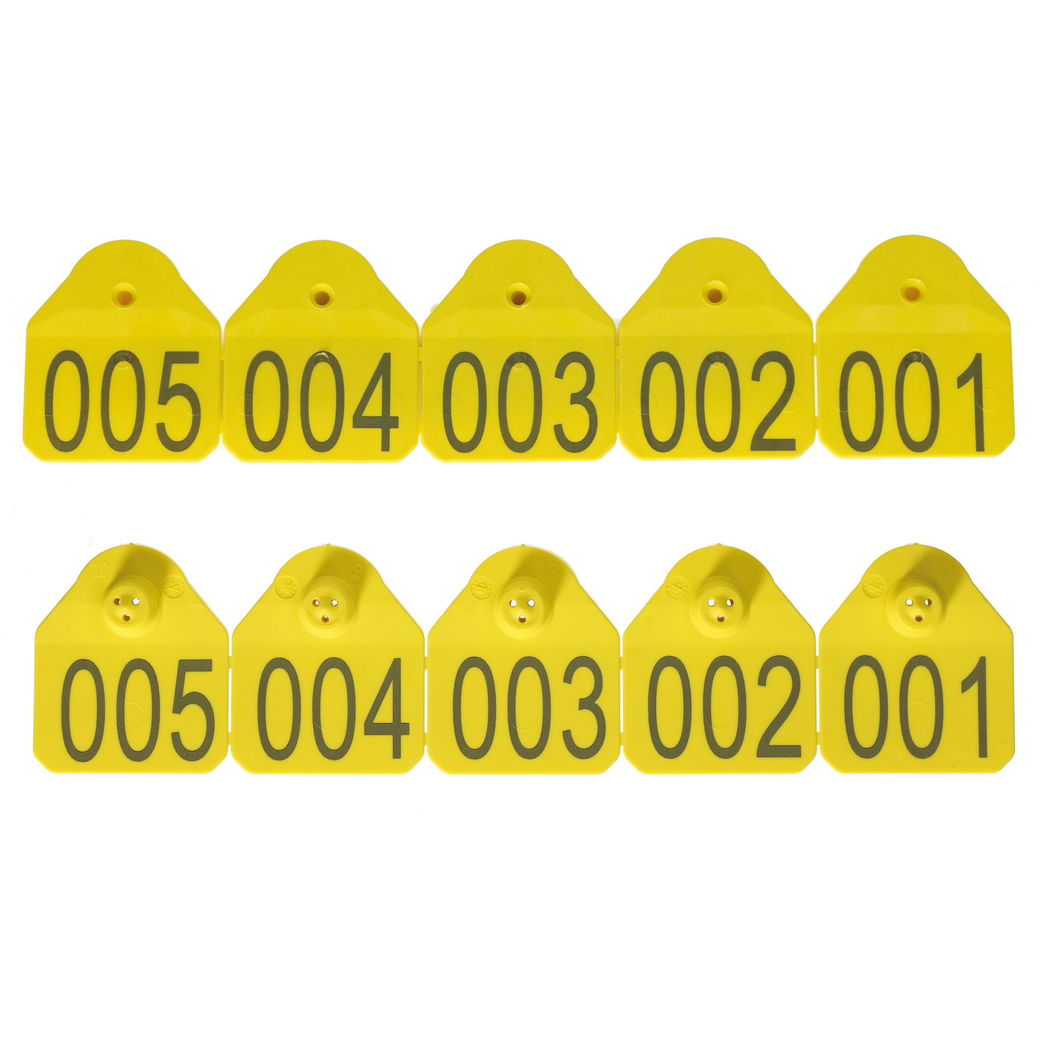 Ms 301 MS Tag Standard set gelb, 301-350 - Bedruckt