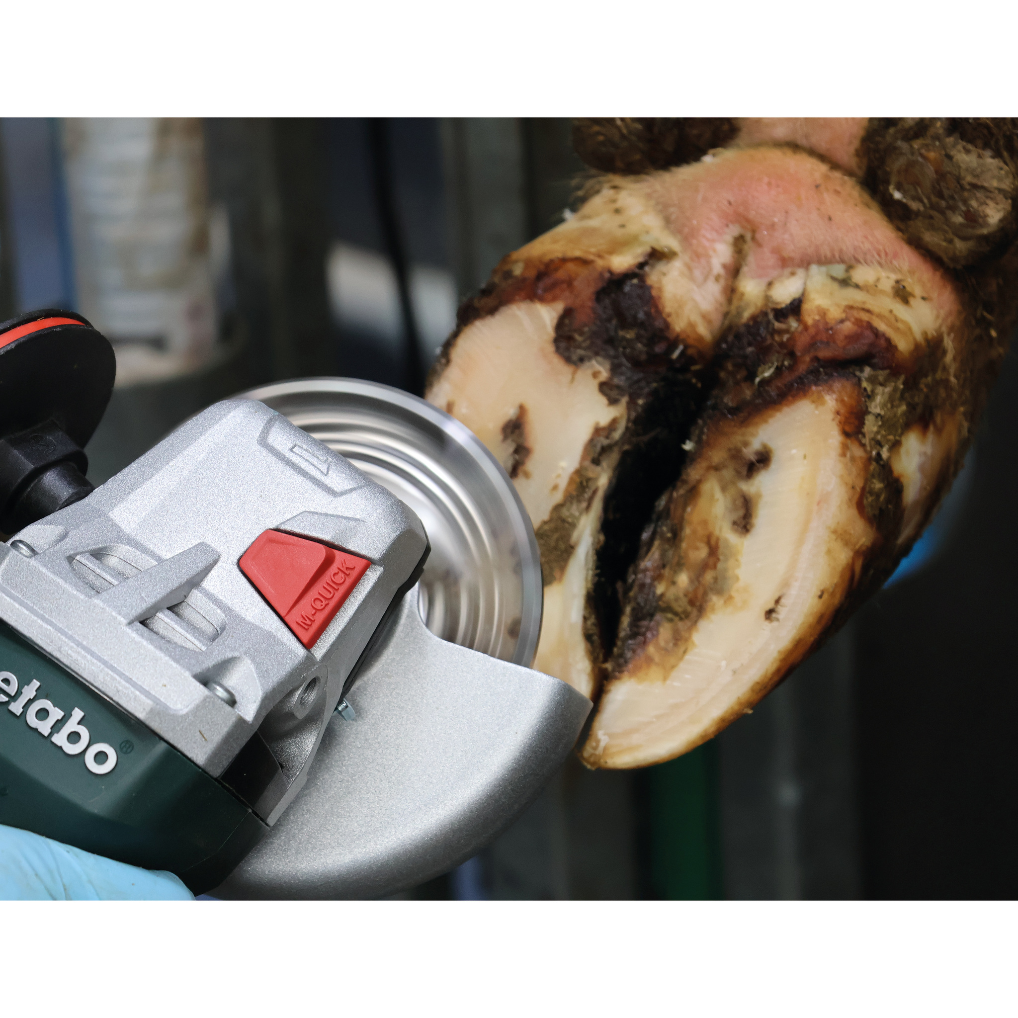Trim-Tec Titan titanium closed, 115 mm - Hoof grinding discs