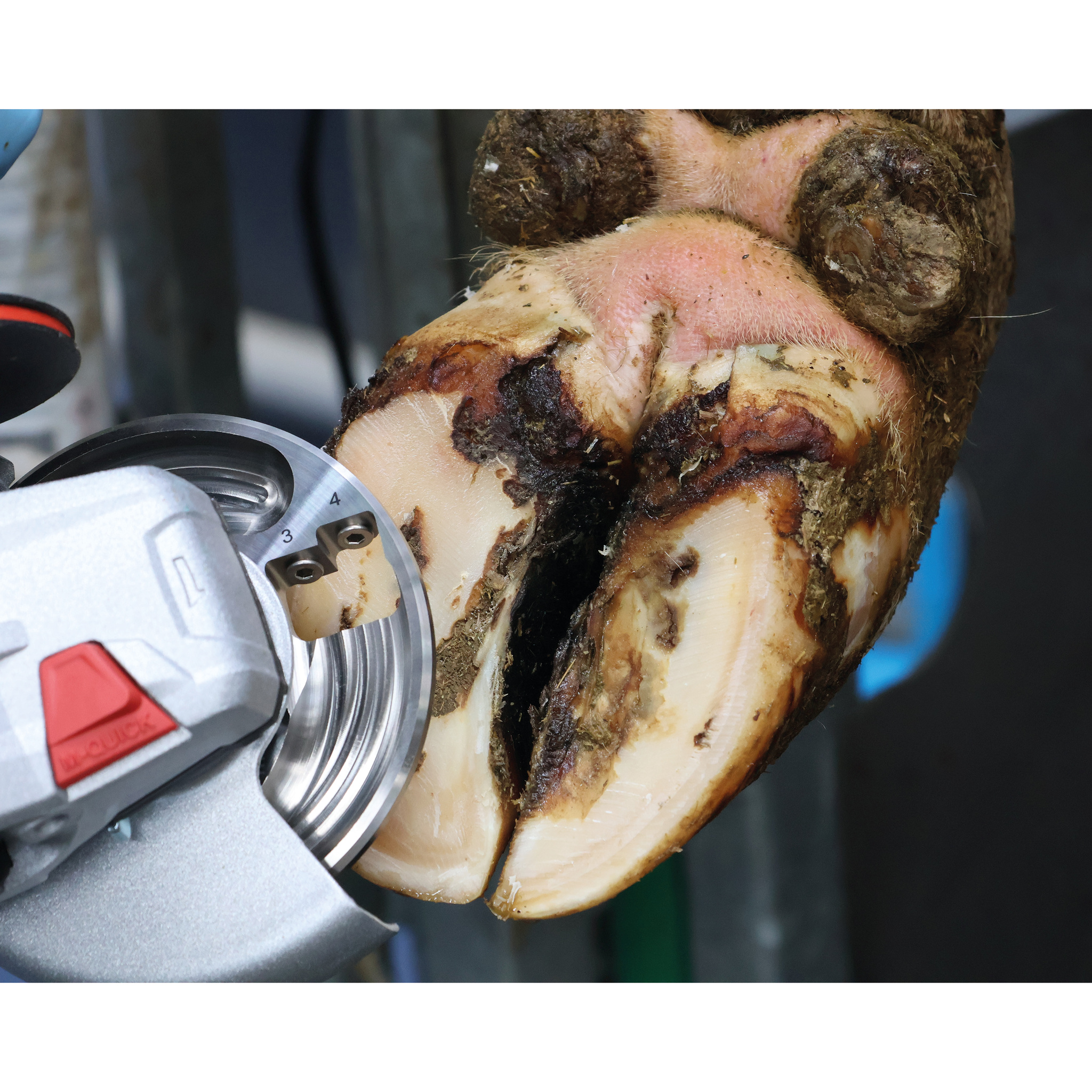 Trim-Tec Titan titanium closed, 115 mm - Hoof grinding discs