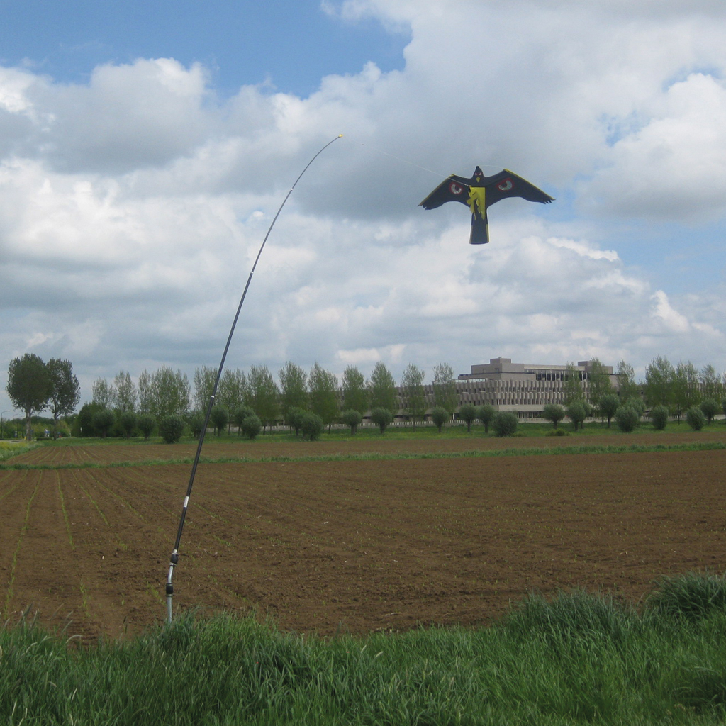 Esschert Design Vogelschreck Drache Flugdrache NEU In Niedersachsen - Foto 5