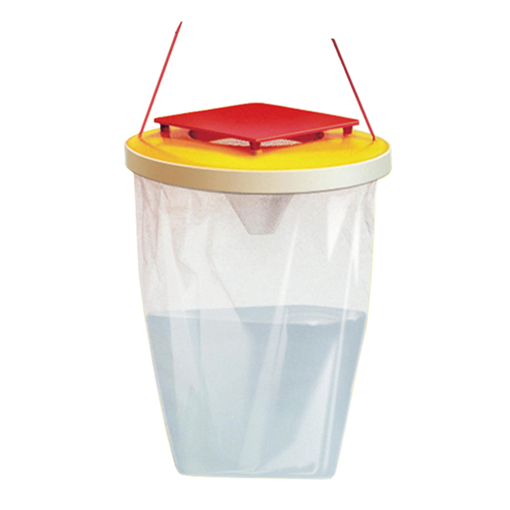 Trappola per mosche: come realizzarla da una bottiglia d’acqua? – casa