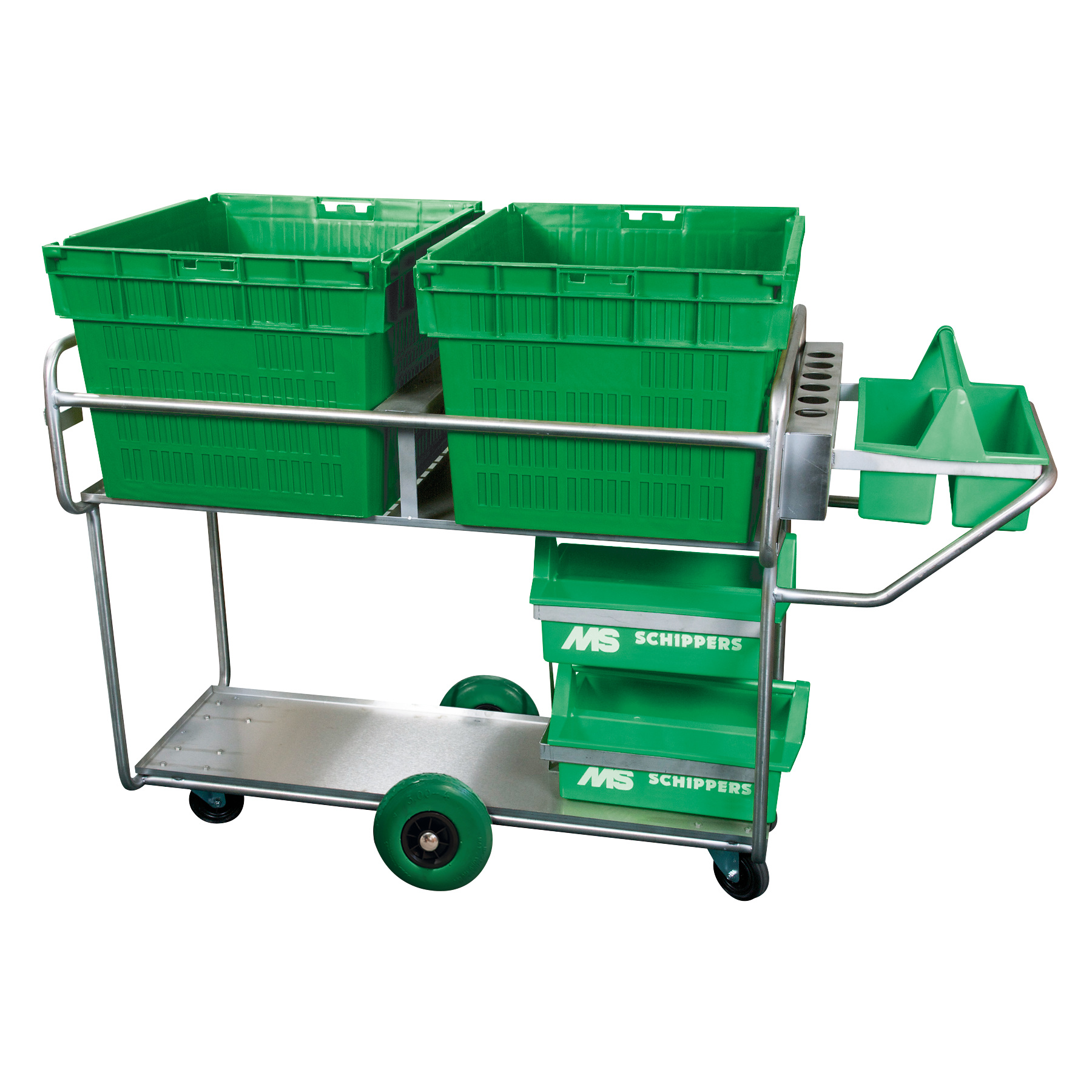 Piglet transport boxes mounted on a treatment trolley