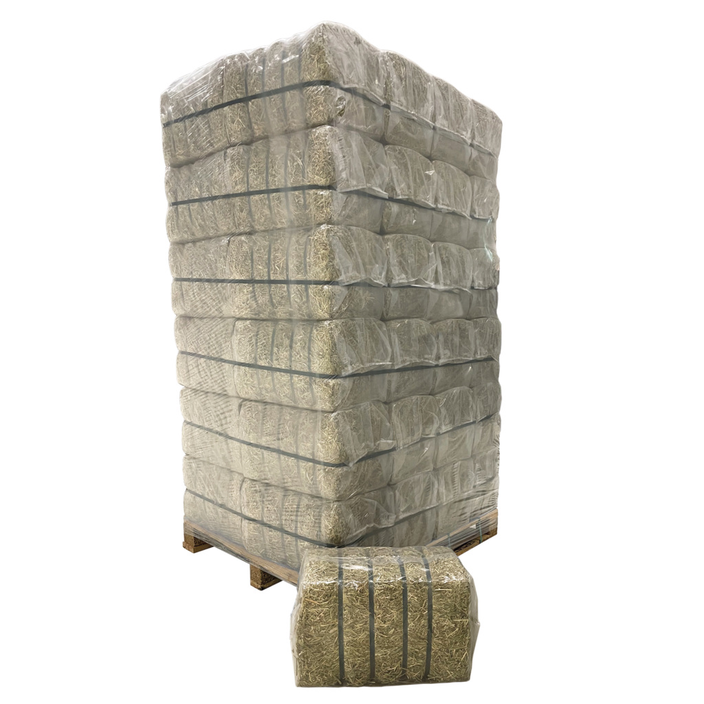 Indulgere Diapositiva Burger Cappotto Pelle Donna Portare Estetico È - Foto 12