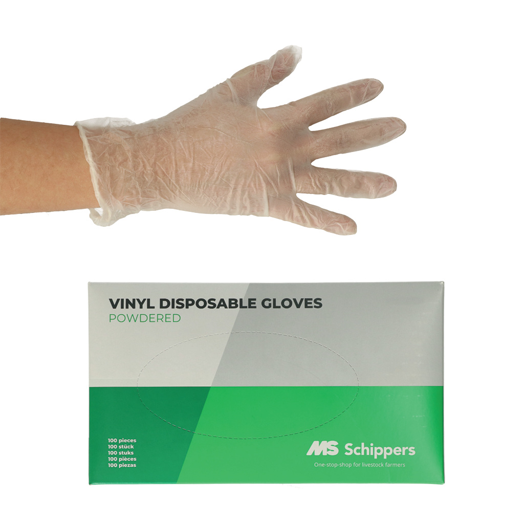 MS Vinyl glove powdered short size 8/M, p/100 - Disposable gloves