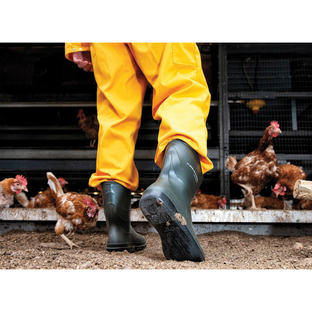 Dunlop Acifort boot disinfection, size 40 - Clothing & footwear