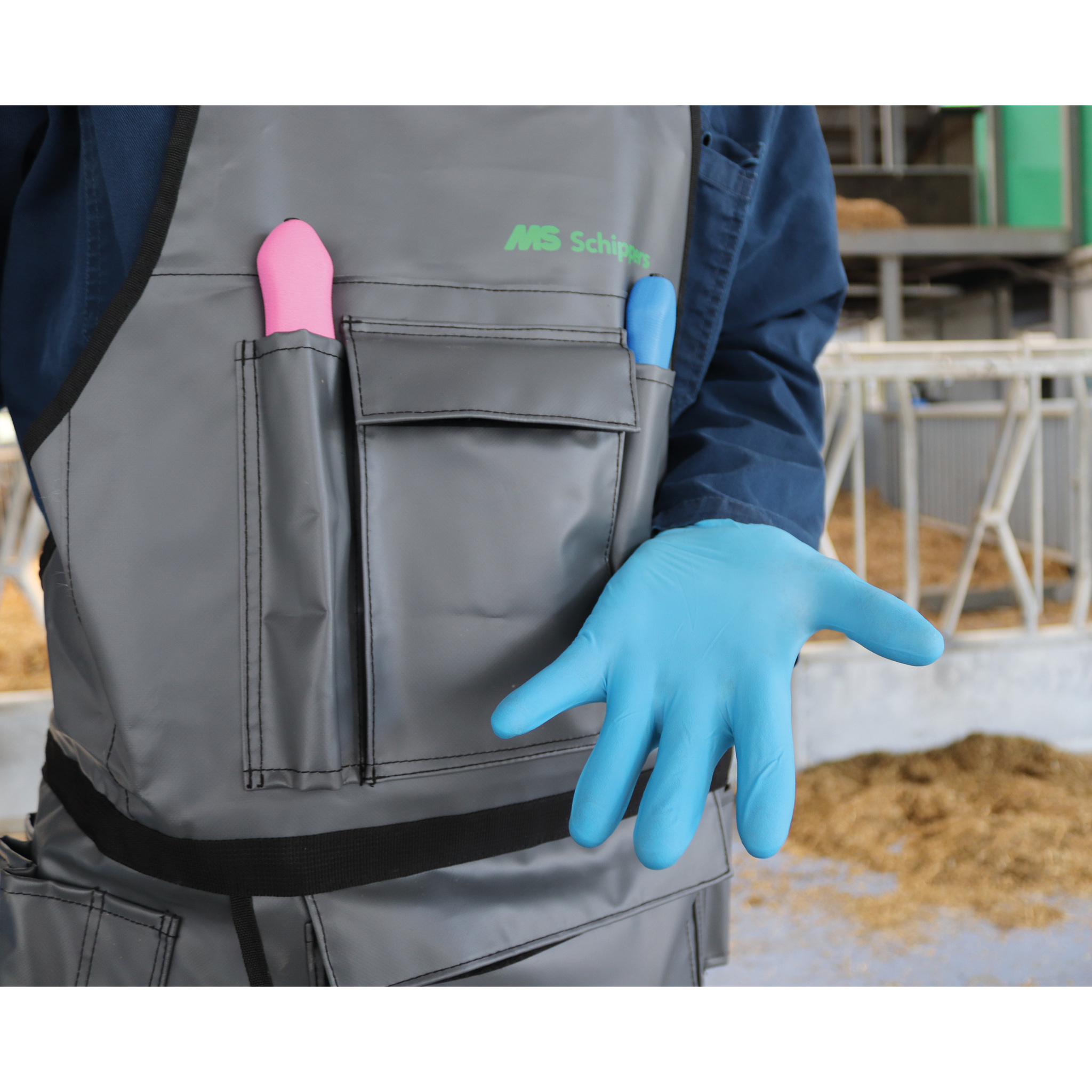 MS Nitril glove powdered 10/XL, p/100 - Clothing & footwear